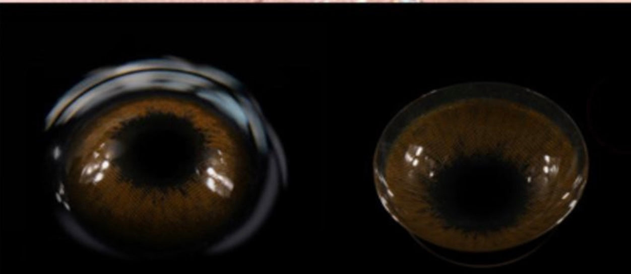 LENTILLES 1 AN - DREAMS