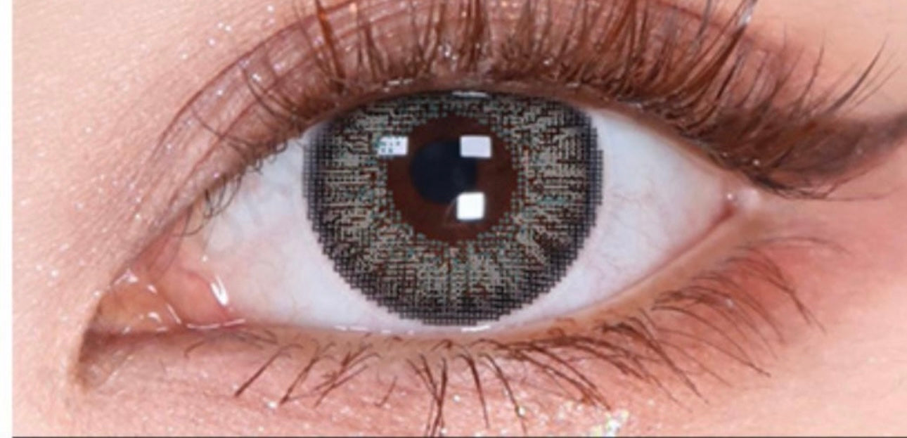LENTILLES 1 AN - ALMA GREY